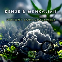 Menkalian & Dense Defiant Consciousness 09/2022 - Mystic Sound Rec., India