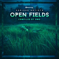 Dense - Bells Of Freedom Exclusive Radio Version VA „Open Fields“ (compiled by GMO) 06/2020 - Blue Tunes Rec., Germany