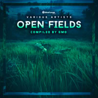 Dense - Bells Of Freedom Exclusive Radio Version VA &bdquo;Open Fields&ldquo; (compiled by GMO) 06/2020 - Blue Tunes Rec., Germany
