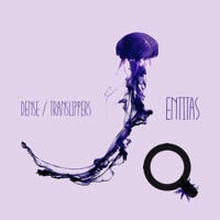 Dense and Translippers Entitas 05/2019 - Cosmicleaf Rec., Greece