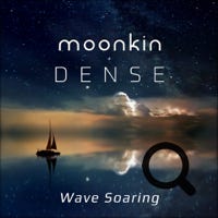 Moonkin and Dense Wave Soaring 04/2020 - Synchronos Rec., U.S.A